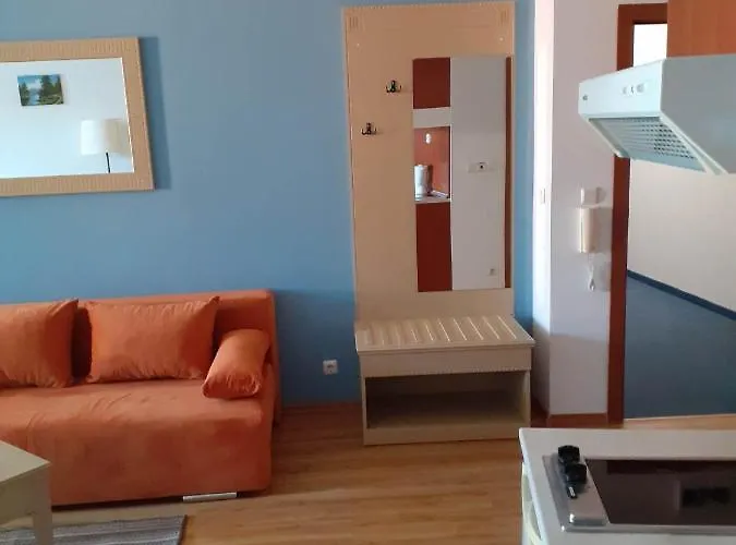 студио 普里莫尔斯科